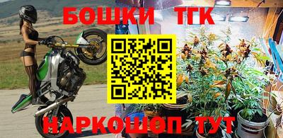тгк Будённовск