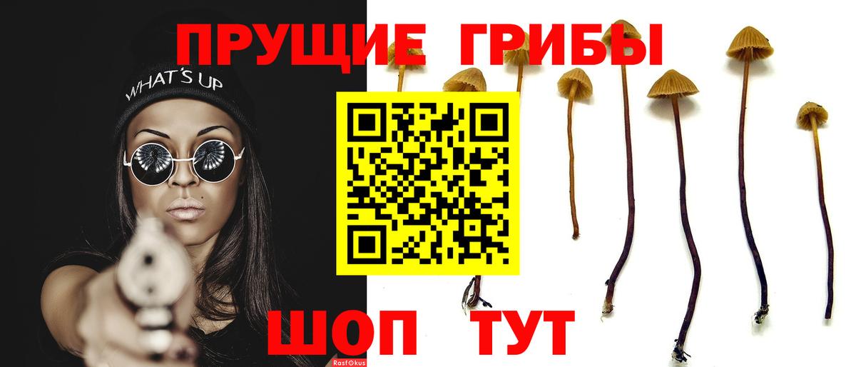 Галлюциногенные грибы GOLDEN TEACHER  даркнет сайт  Сарапул  Вход с VPN 
